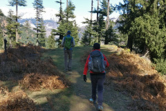 Manali-Day-Hike-Trek-16