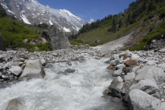 beas-kund-trek-47.JPG