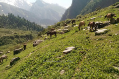 beas-kund-trek-50.JPG