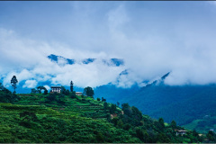 Punakha