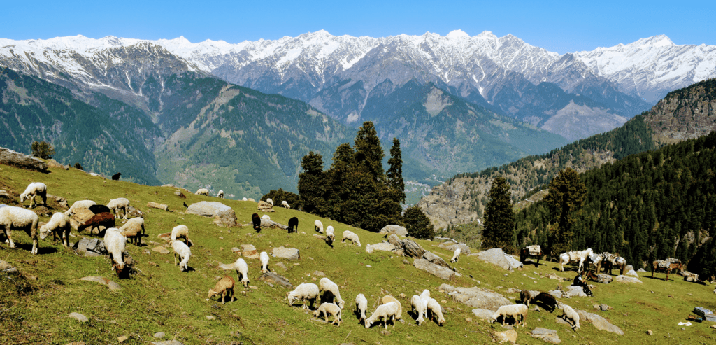 hamta circle trek manali