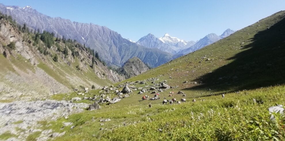 Bara Bhangal trek